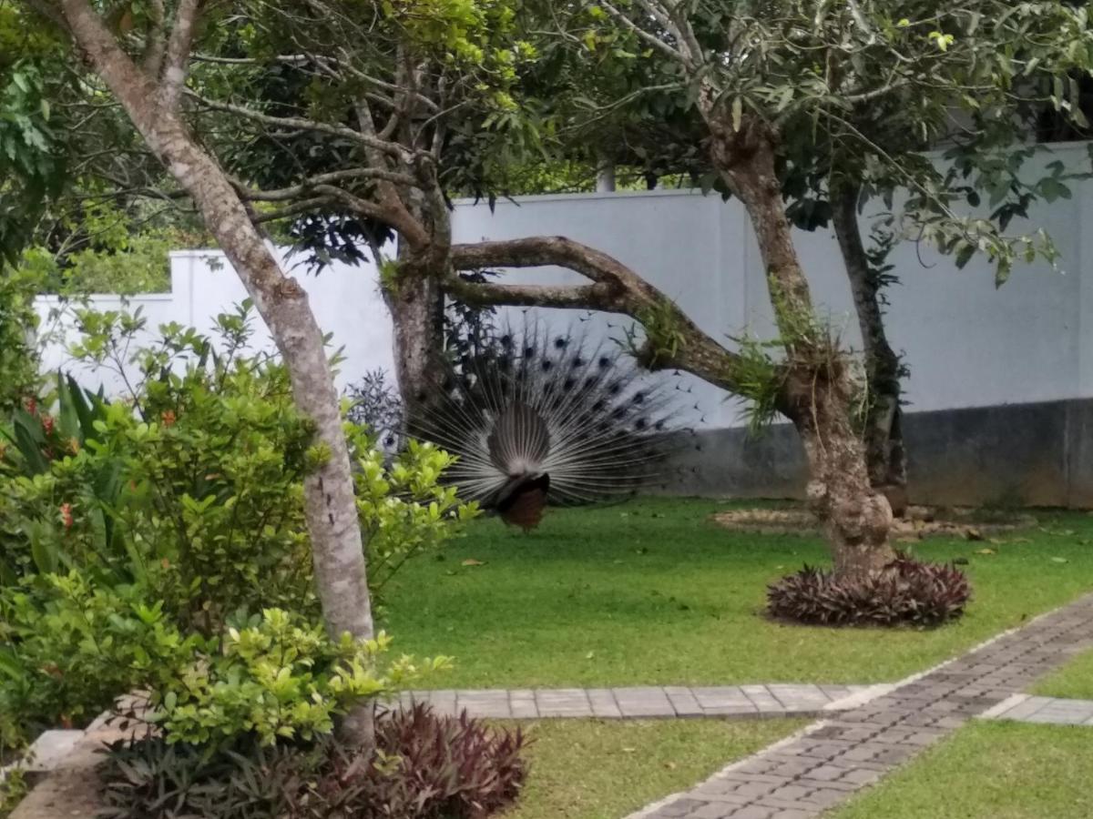 Villa Green White Unawatuna Kültér fotó